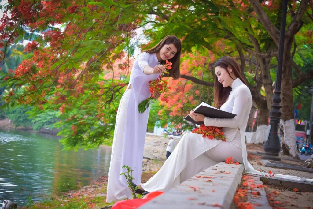 Nữ sinh Hà thành duyên dáng, tinh khôi trong đồng phục học sinh Nữ sinh Hà thành duyên dáng, tinh khôi trong đồng phục học sinh